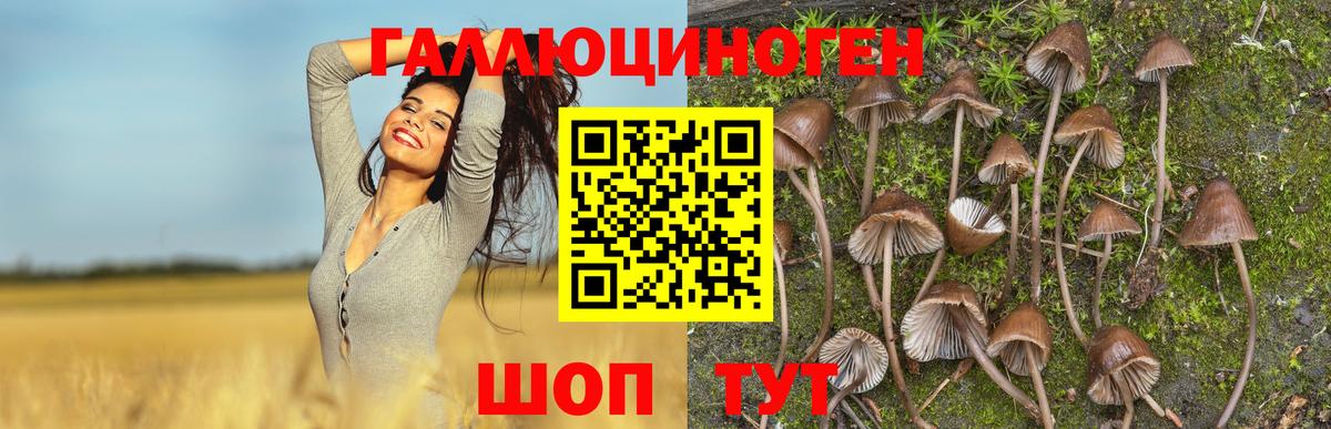 Галлюциногенные грибы ЛСД  Вход с VPN  Псилоцибиновые грибы мухоморы  Кореновск 