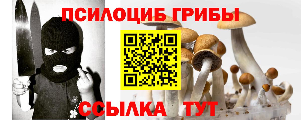 Псилоцибиновые грибы Magic Shrooms Кореновск